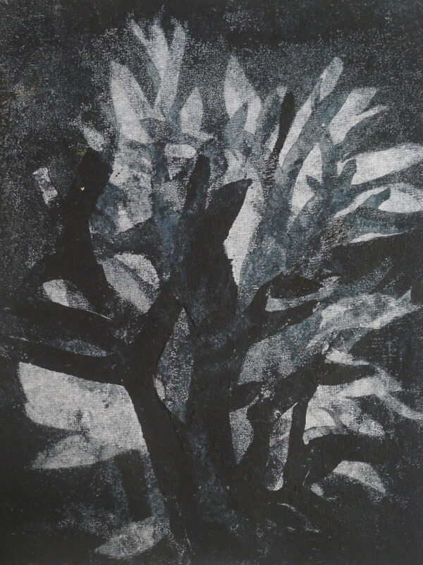 Serie, Siluetas y Sombras