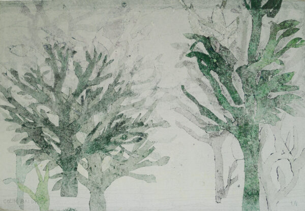 Serie, Siluetas y Sombras