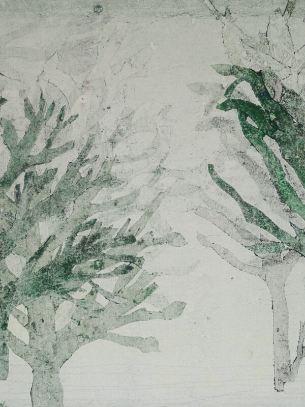 Serie, Siluetas y Sombras