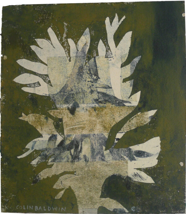 Serie, Silueta y Sombras